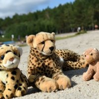 sandybeach