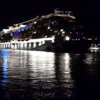 enterthesea