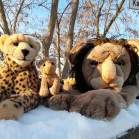 lionplushie