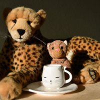 tasse