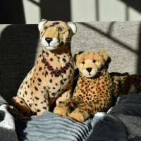 kuscheldecke
