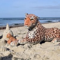 sandcastle