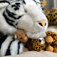 whitetiger