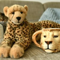 zooshop