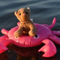 crab