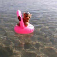 waveriding