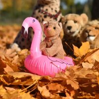 floatiie