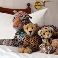 hotelbett