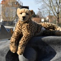 aufdernaseherumtanzen