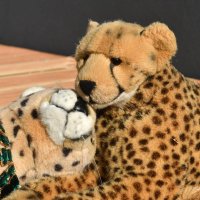 plushiecuddlysunday