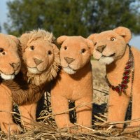 worldlionday2025