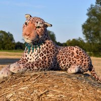 haltkette