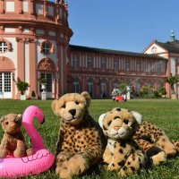 biebrichpalace