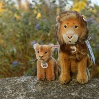 circleoflife